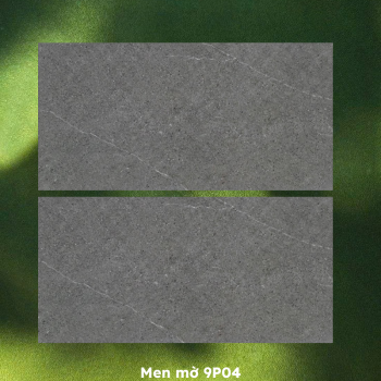Gạch ốp lát PRIME 9P04