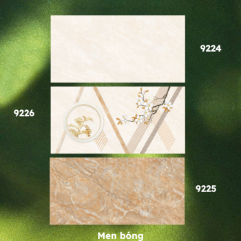 Gạch ốp lát PRIME P9224