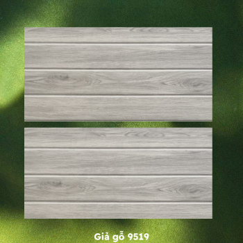 Gạch ốp lát PRIME P9519