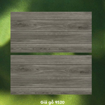 Gạch ốp lát PRIME P9520