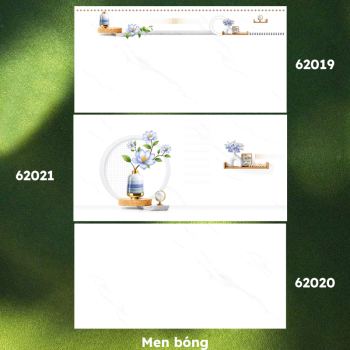 Gạch ốp lát PRIME P62019