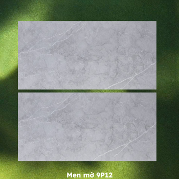 Gạch ốp lát PRIME 9P12